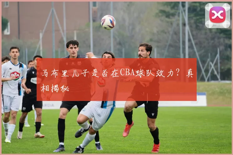 马布里儿子是否在CBA球队效力？真相揭秘