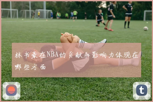 林书豪在NBA的贡献和影响力体现在哪些方面